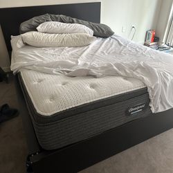 Mattress Firm Mattress, Bought In 2020 For 2,000$ 