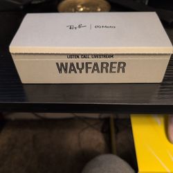 Meta Rayban Wayfarer