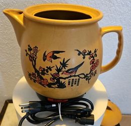 Narita ElectricChinese Herbal pot