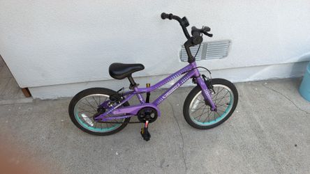 Guardian bike 16