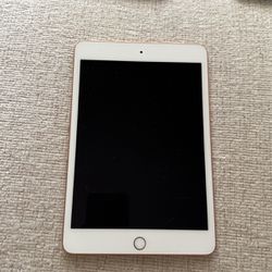 iPad Mini (5th generation 
