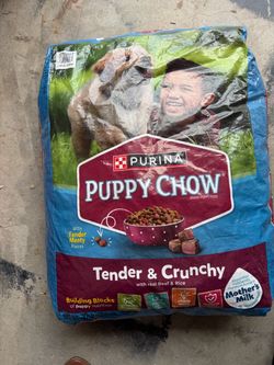Dog Chow Tender & Crunchy Dry Dog Food with Real Beef & Rice Flavor - 30lbs