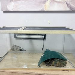 Reptile Tank