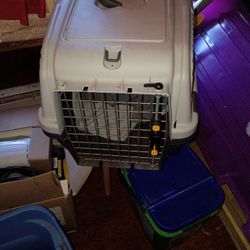 Cat Kennel