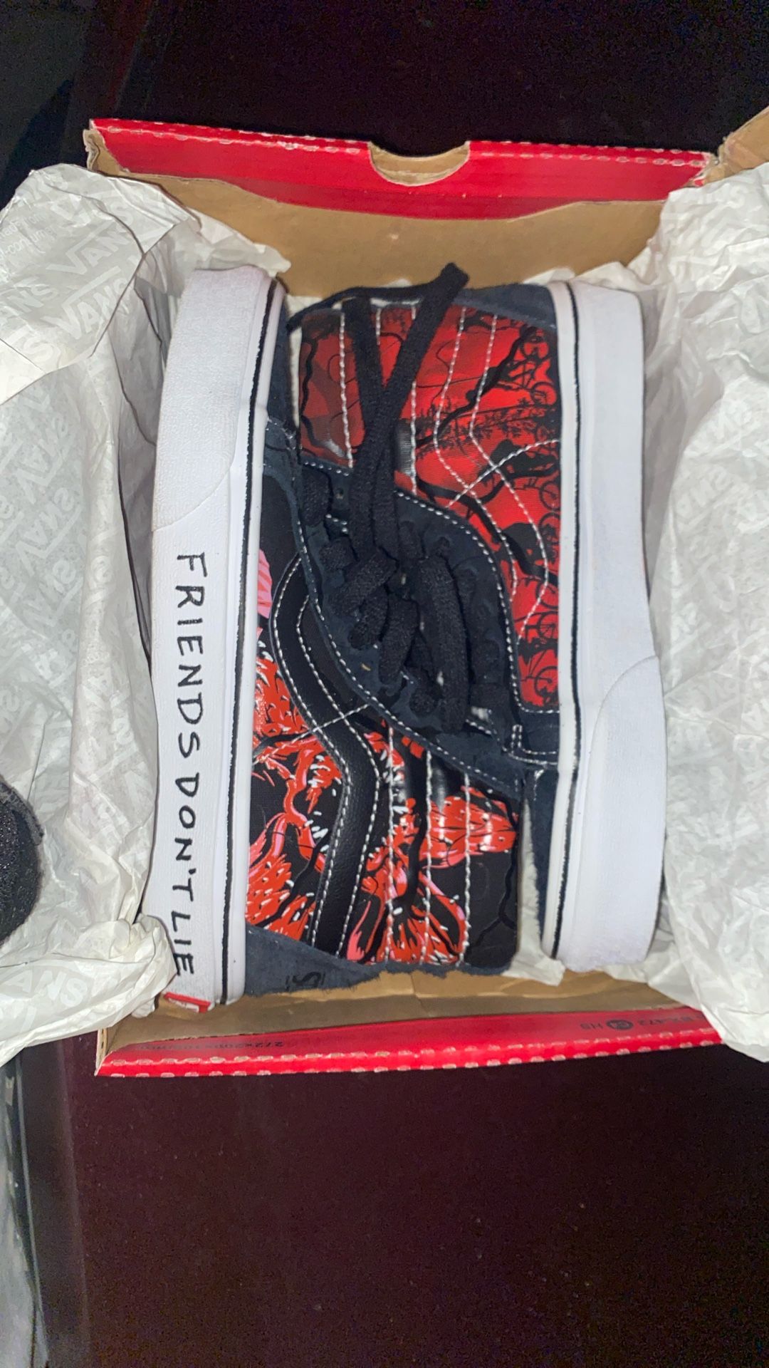 Stranger Things Vans