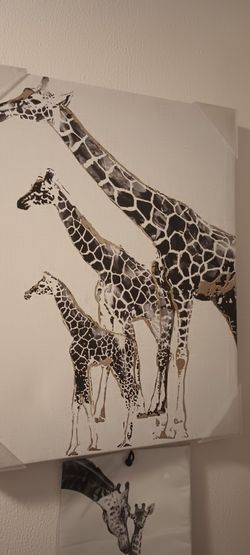 Giraffe frames