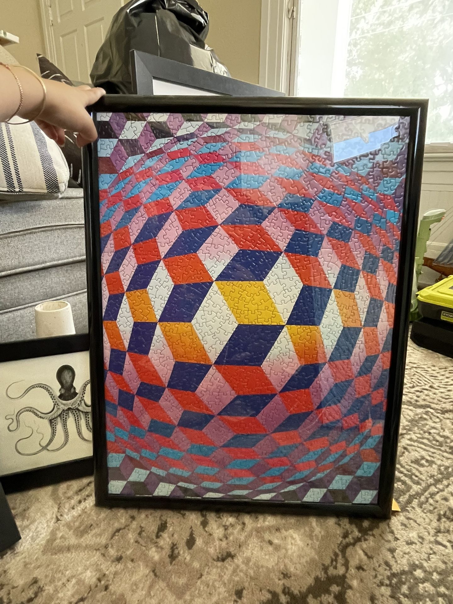 Illusion Framed Puzzle