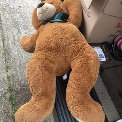 Big Teddy  Bear 