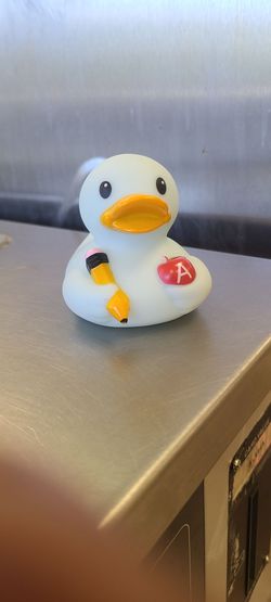 Teacher Rubber Duck Novelty Toy
