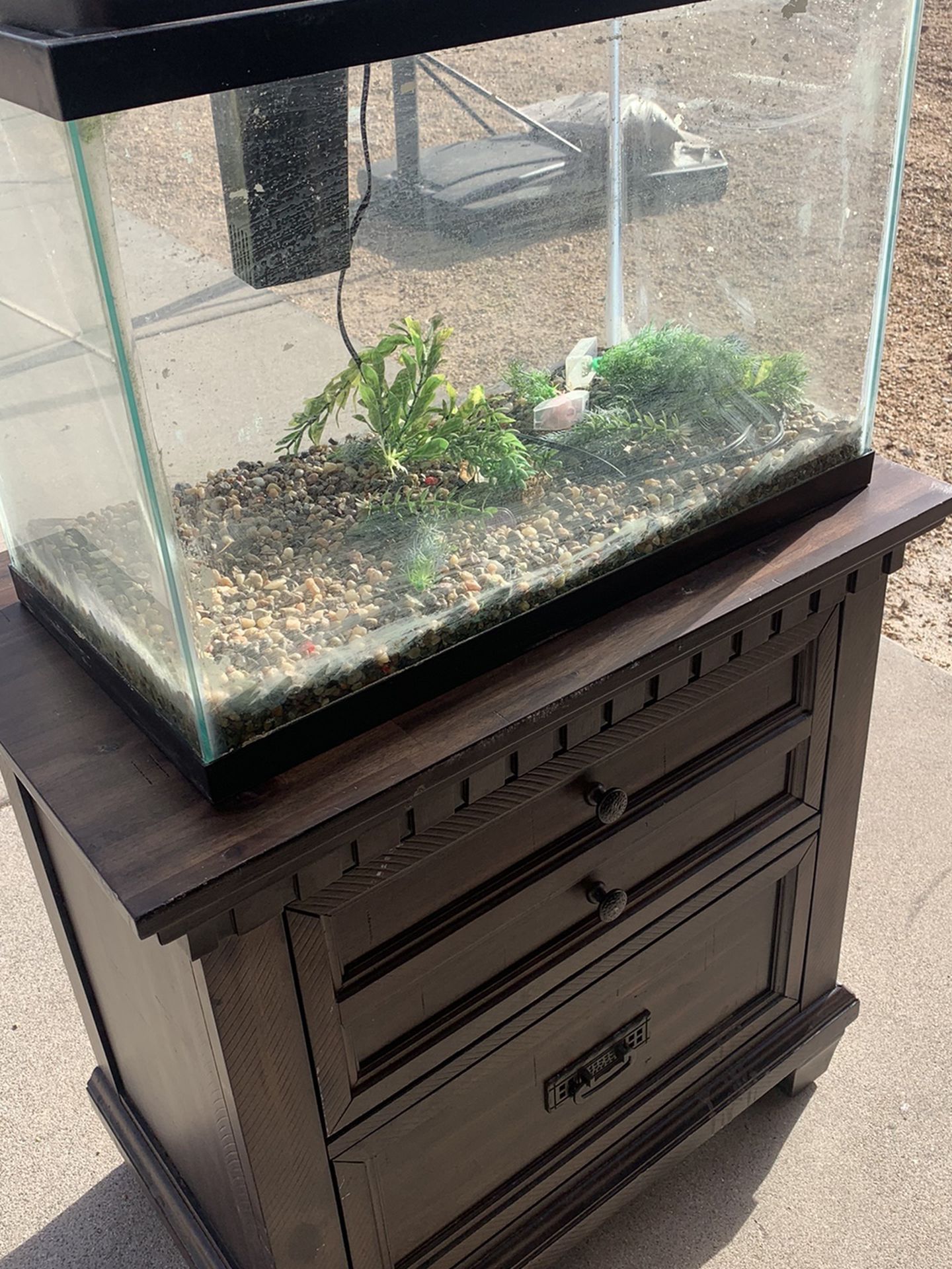 20 Gallon Glass Aquarium w/Wood Stand