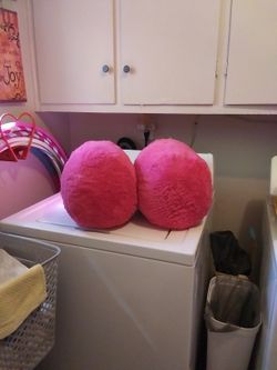 2 Free Pink Pillows