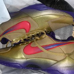 Nike Kobe Undefeated HOF Sz 9.5 DS