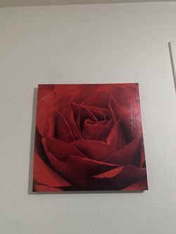 Rosé canvas Picture