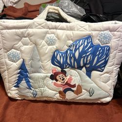 Disney park Bag