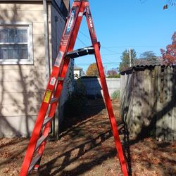 Werner 6 Foot Platform Ladder