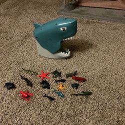 Great White Shark Storage 