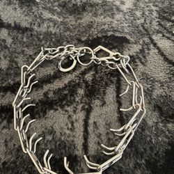 Dog Training Collar