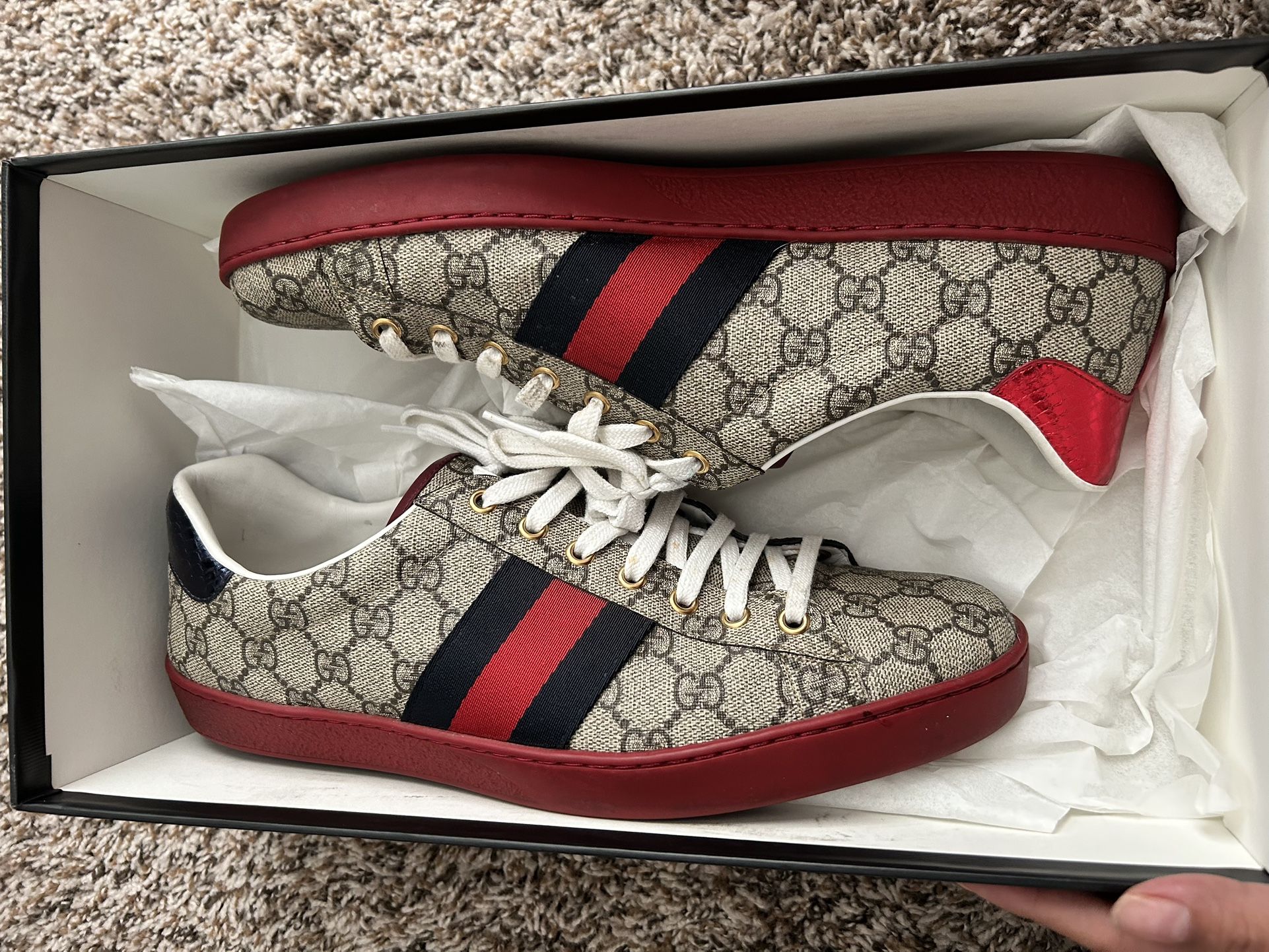 Gucci Shoes