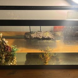 Aquarium For Reptile 