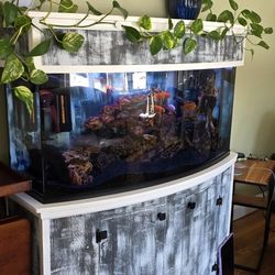 Complete Setup 80 Gallon Bowfront  WILLING TO BARTER