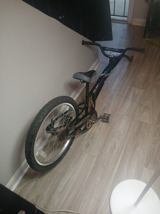 Adam's Compact FolderTrail-A-Bike 