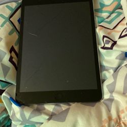 iPad Mini