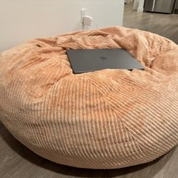 Bean Bag Chairs (faux fur)