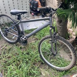 Kent Mountain Bike 24 Inch