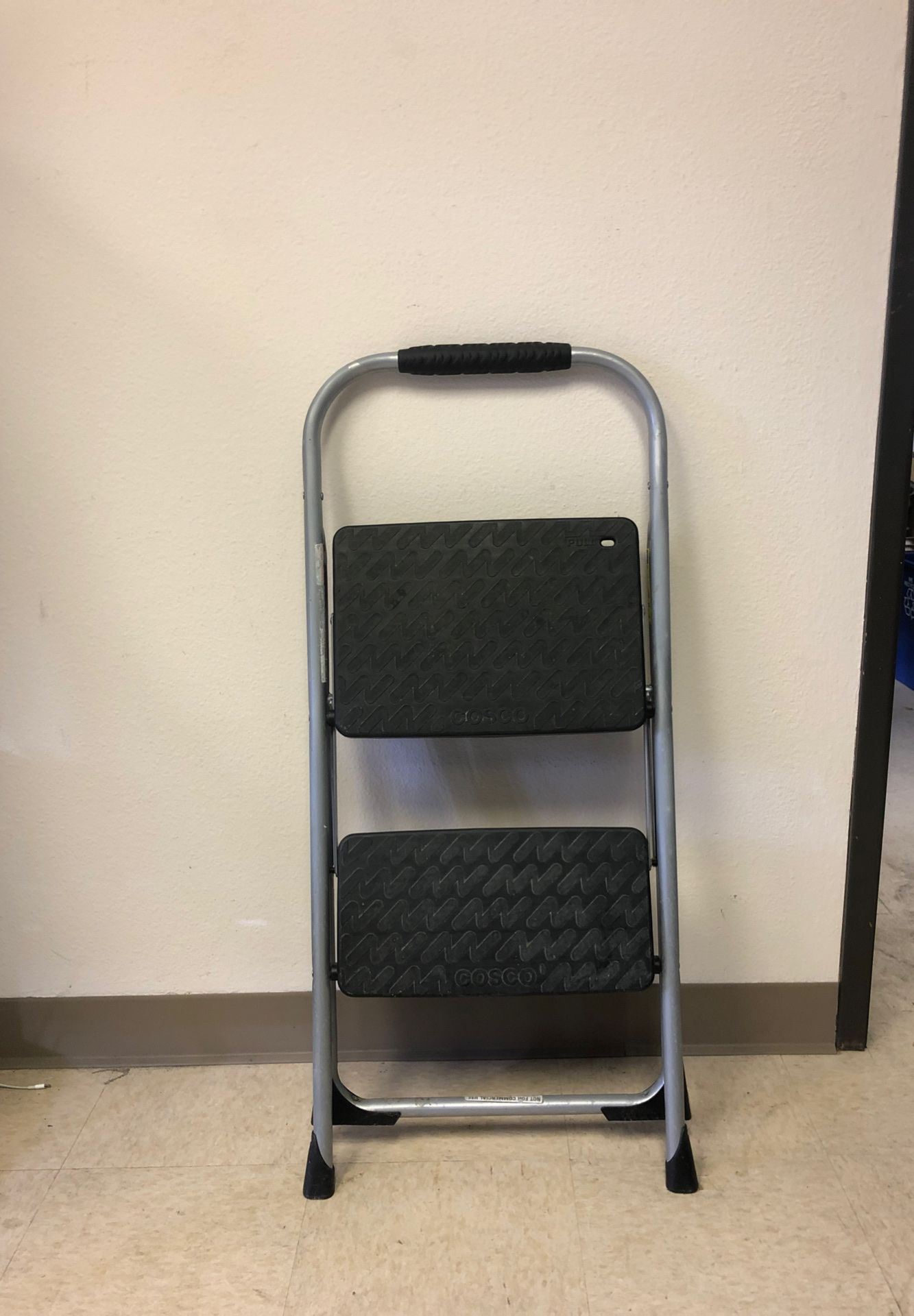 Costco 2-Step Ladder