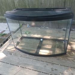 Bow Front Aquarium 