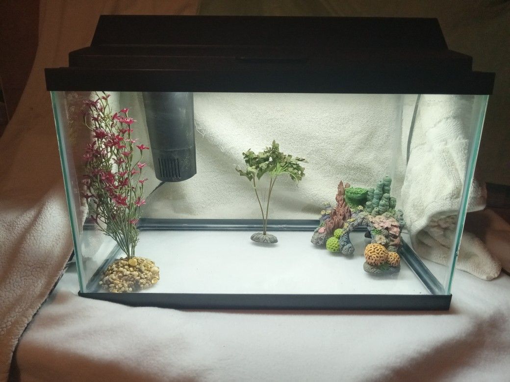 Like New 10 Gallon Fish Tank And Supplies