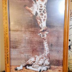 Wooden Framed With Glass Giraffe 🦒 Momma Kisses Baby 