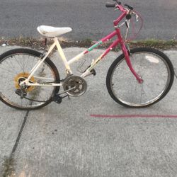 cheap bike