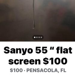55 “ Tv $100