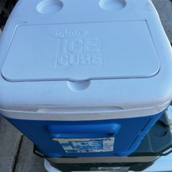 Igloo Ice Cube 