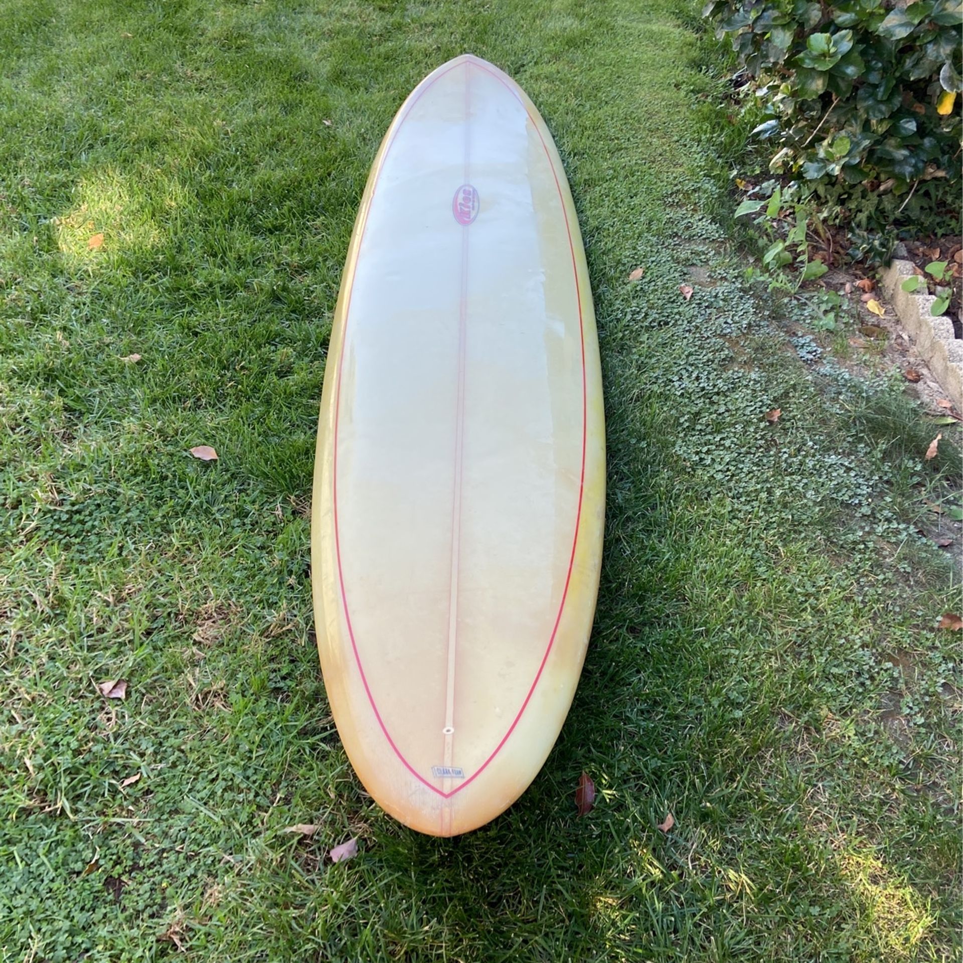11 Foot Longboard Surfboard