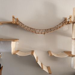 Catastrophic Creations - Cat Condo 