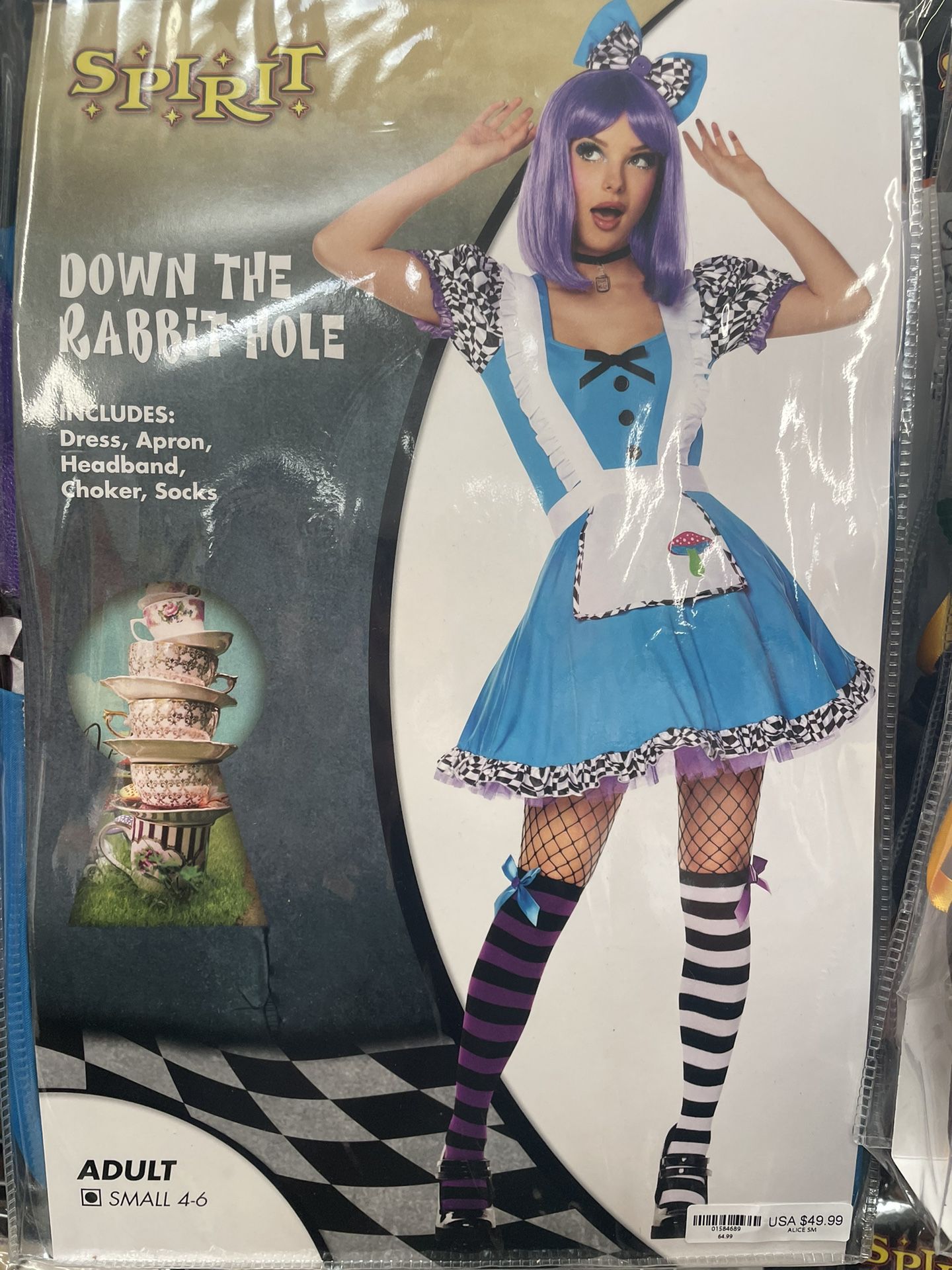 Alice In Wonderland Costume 