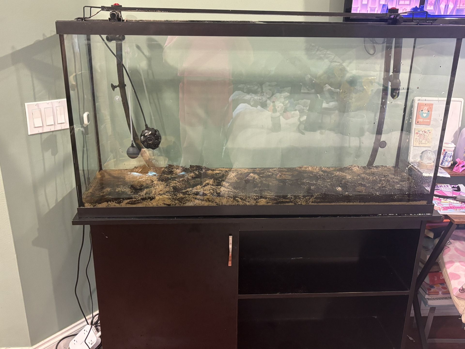 65 Gallon Tank And Stand And Filter 