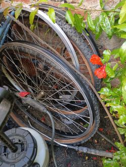 Bike frame and bike rims and tires inner tubes not included