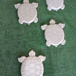 Turtle Stepping Stones Concert reinforced