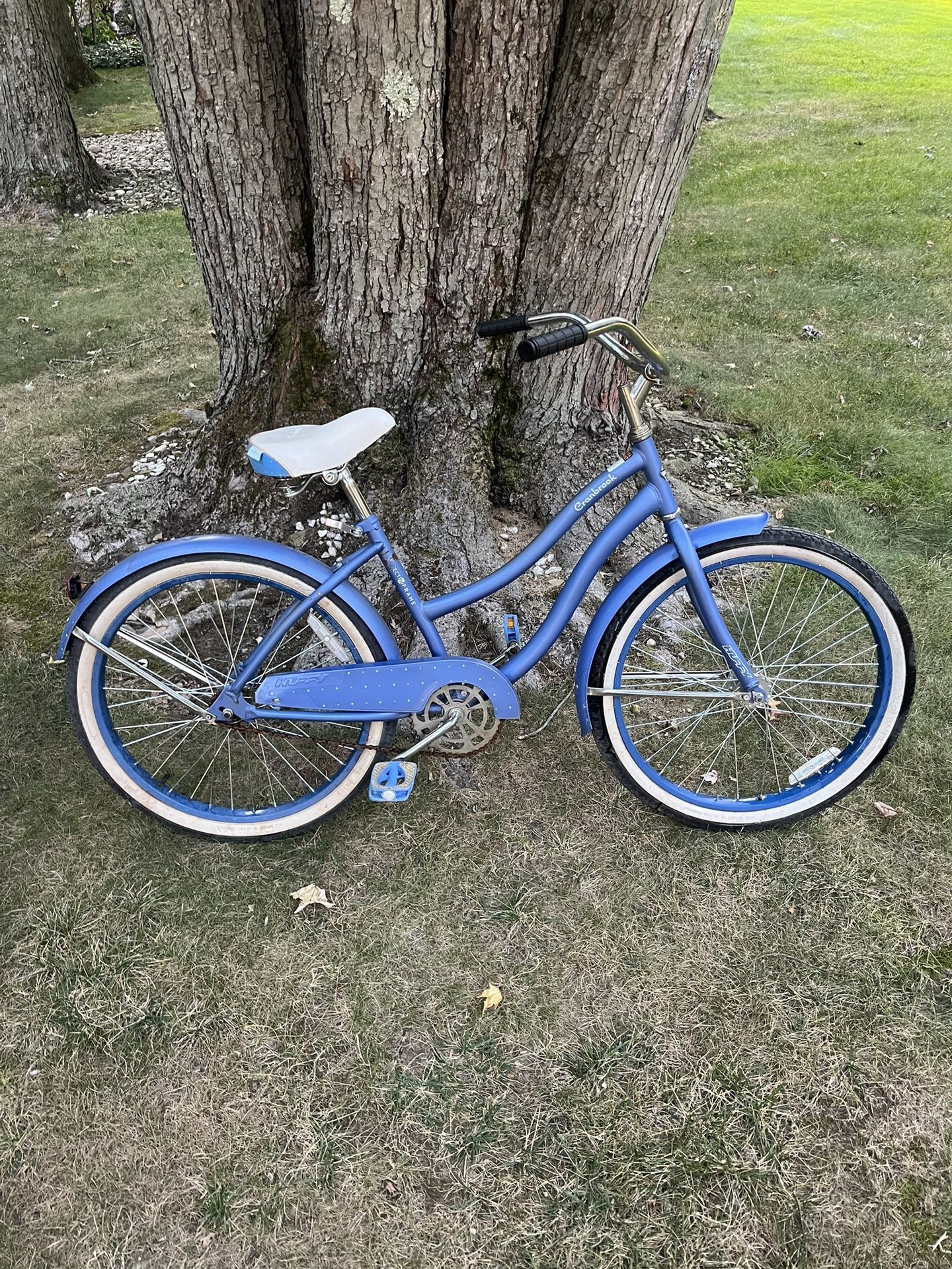 24” Beach Cruiser (single Speed)