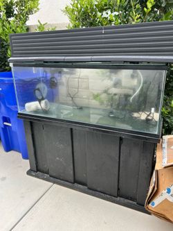 Fish tank