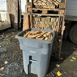 Firewood 🔥 cutoffs $25 Bin