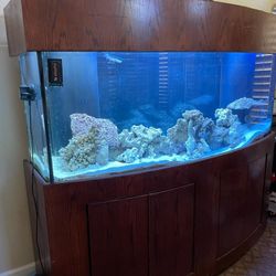 A 180 gallon bow front Tank. Matching stand And canopy. 
