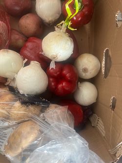 Free Food