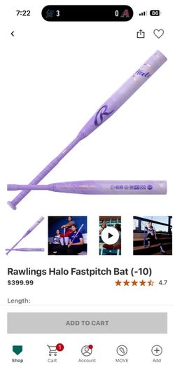 Softball Fastpitch Bat