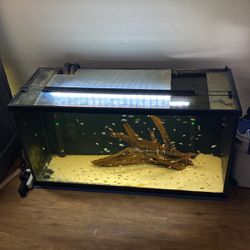 90 gallon fish tank, includes fluval light and 2 fluval E300 heaters