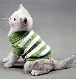 Cat Sweater