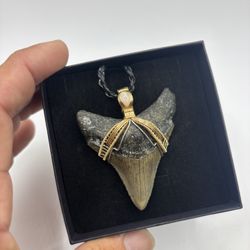 Megalodon Shark Tooth Pendant. With Opal -14k Gold Filled 